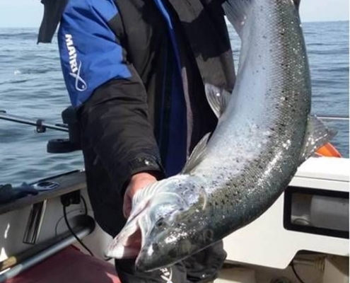 Audrius Jak tas Fishing Guide Baltic Sea Fishing Audrius Jak tas Fishing Guide Baltic Sea Fishing